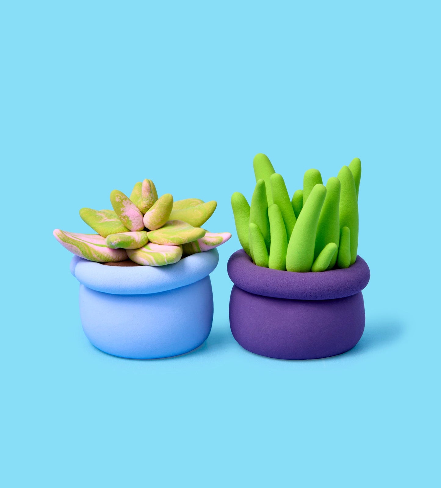 House Plant Bundle