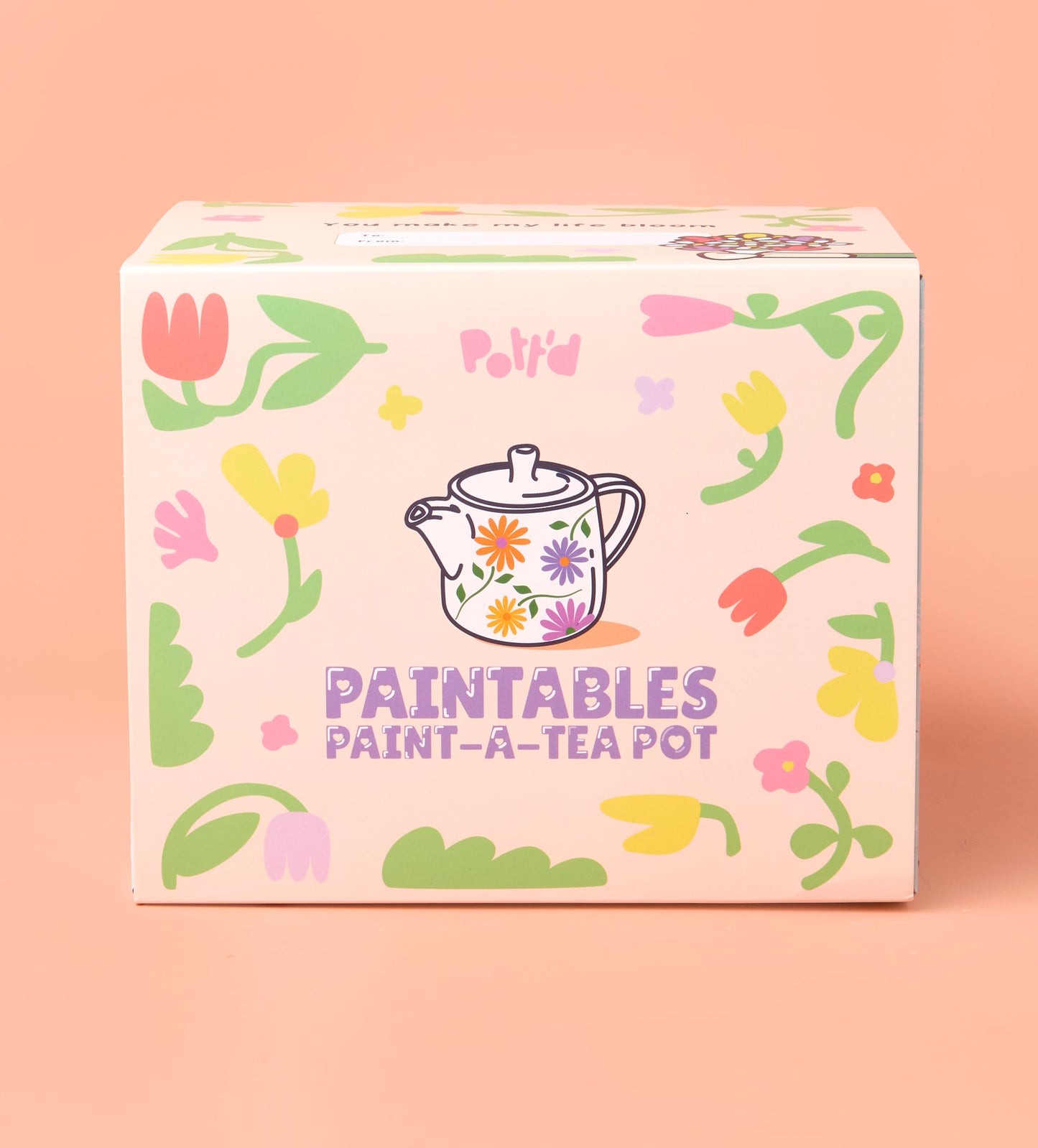 Just for Mum: Teapot Painting Kit