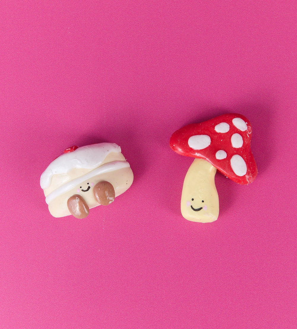 Polymer Clay Kits