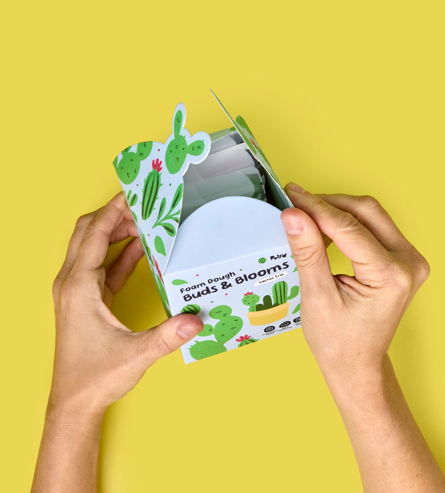 Buds & Blooms: Cacti Trio