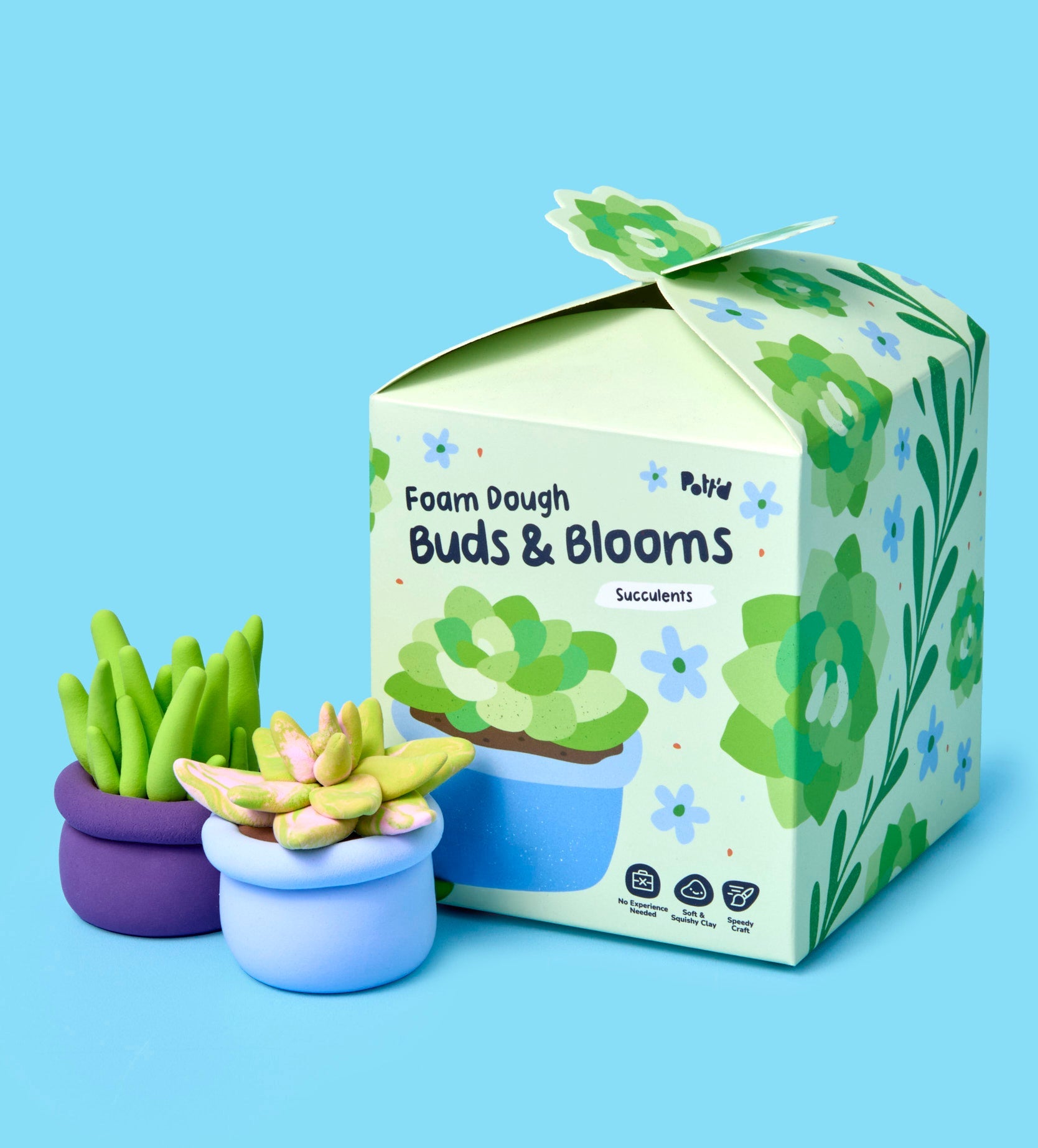 Buds & Blooms Succulents
