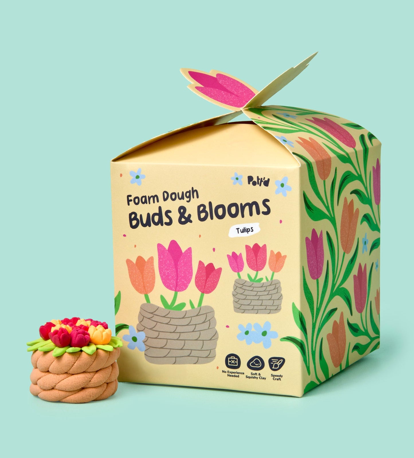 Buds & Blooms: Tulips