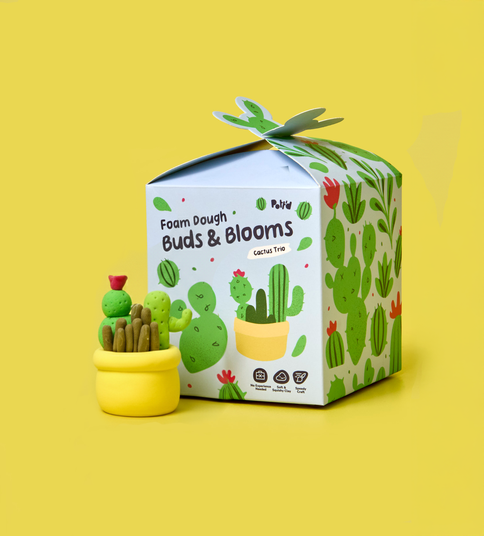 Buds & Blooms Cacti Trio