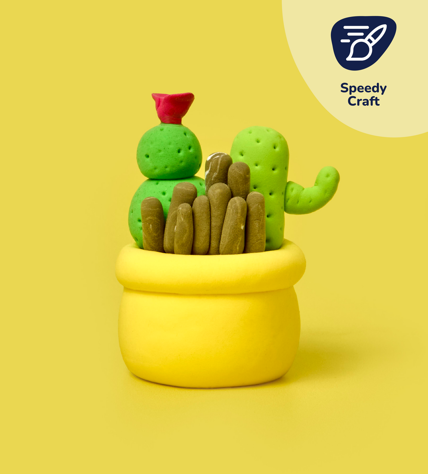 Buds & Blooms: Cacti Trio