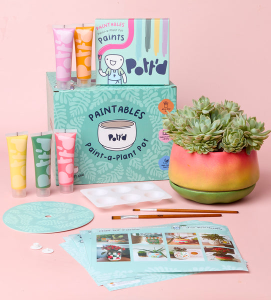 Paint-a-Plant Pot