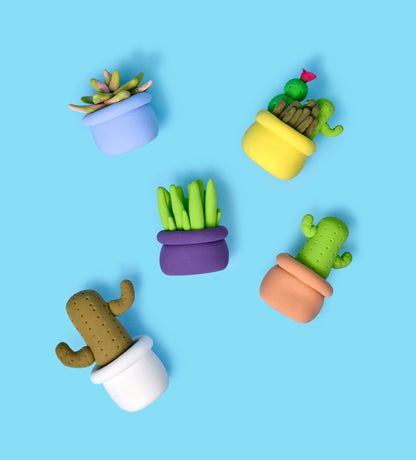 House Plant Collection