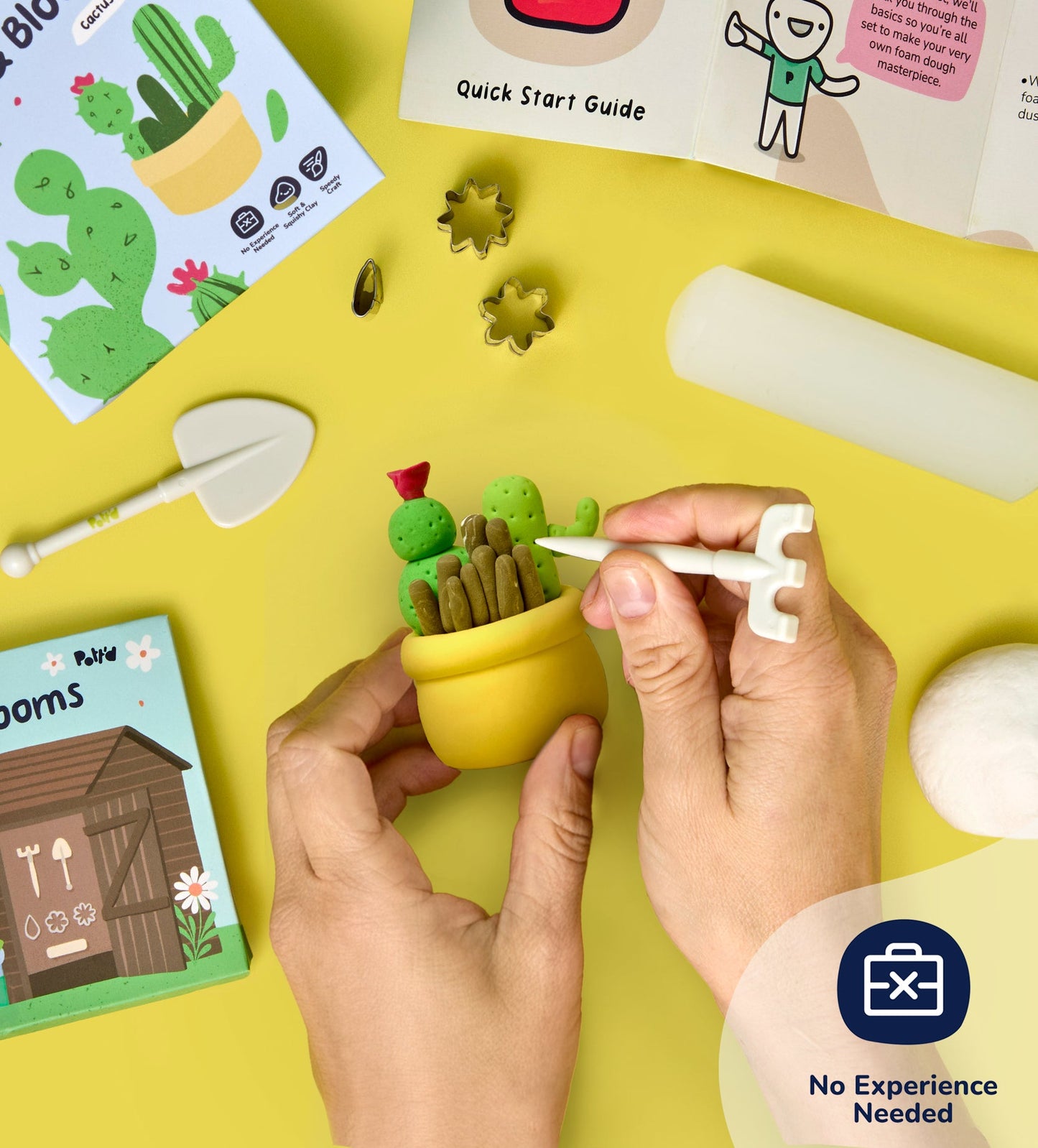 Buds & Blooms: Cacti Trio