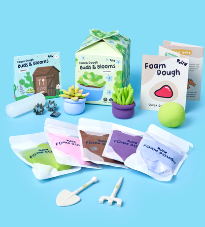 House Plant Collection