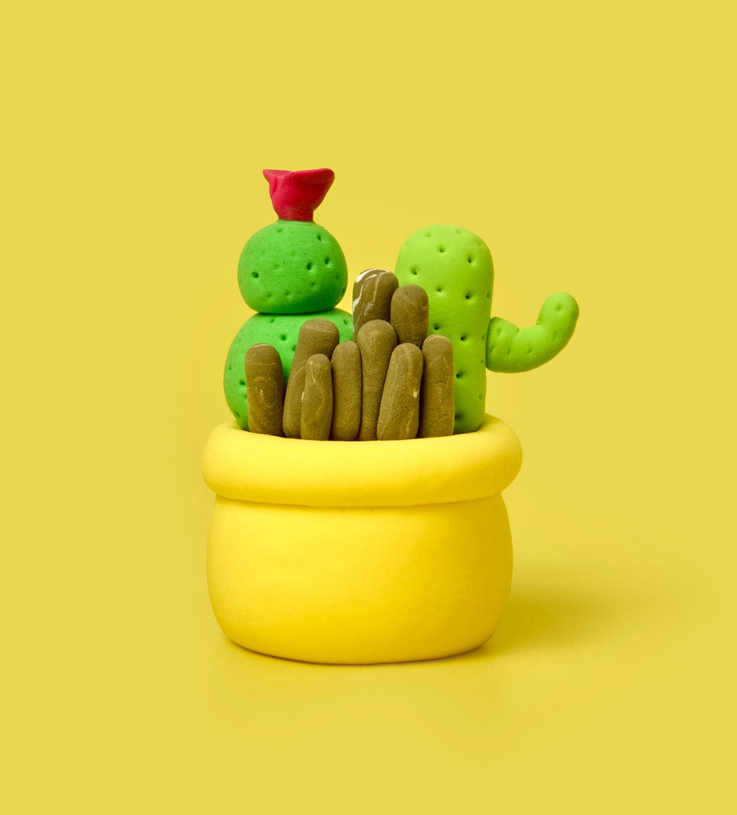 Sweet & Sharp Bundle