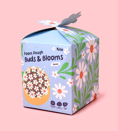 Buds & Blooms: Daisies